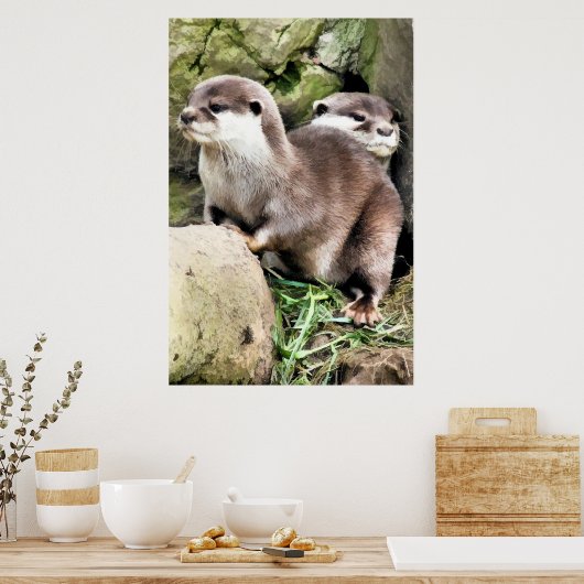 OTTERS POSTER (Küche)