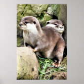 OTTERS POSTER (Vorne)