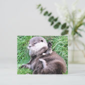 OTTERS POSTKARTE (Stehend Vorderseite)