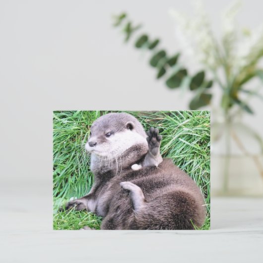 OTTERS POSTKARTE (Stehend Vorderseite)