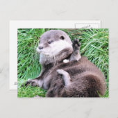 OTTERS POSTKARTE (Vorne/Hinten)