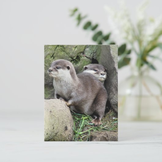 OTTERS POSTKARTE (Stehend Vorderseite)