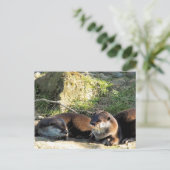 OTTERS POSTKARTE (Stehend Vorderseite)