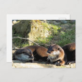 OTTERS POSTKARTE (Vorne/Hinten)