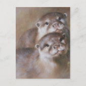Otters Postkarte (Vorderseite)