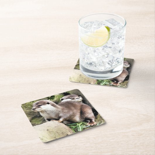 OTTERS RECHTECKIGER PAPPUNTERSETZER (Vor Ort)