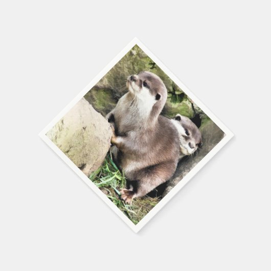 OTTERS SERVIETTE (Ecke)