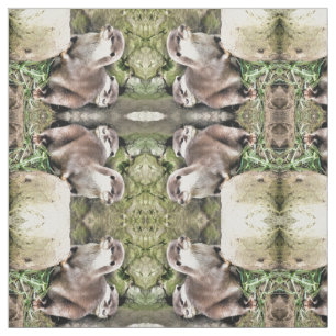 OTTERS STOFF