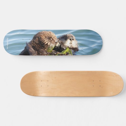 Otterwelpe und -mutter mit Kelp Skateboard (Horizontal)