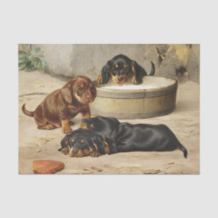 Otto Bache   Dackel Welpen Seidenpapier
