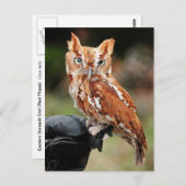 Otu-Otu-Otu-Otu-Postkarte Postkarte (Vorne/Hinten)