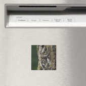 Otusoase (graue Phase) Magnet (In Situ (Geschirrspüler))