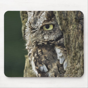 Otusoase (graue Phase) Mousepad