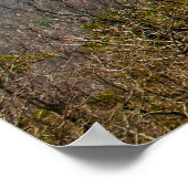 Ouachita Berge, Oklahoma Poster (Ecke)