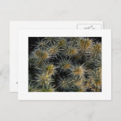 "Ouch Cluster" Postkarte (Vorne/Hinten)