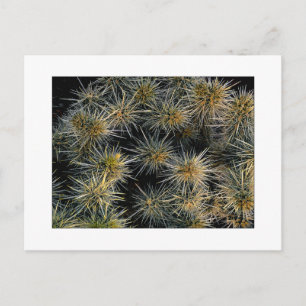 "Ouch Cluster" Postkarte