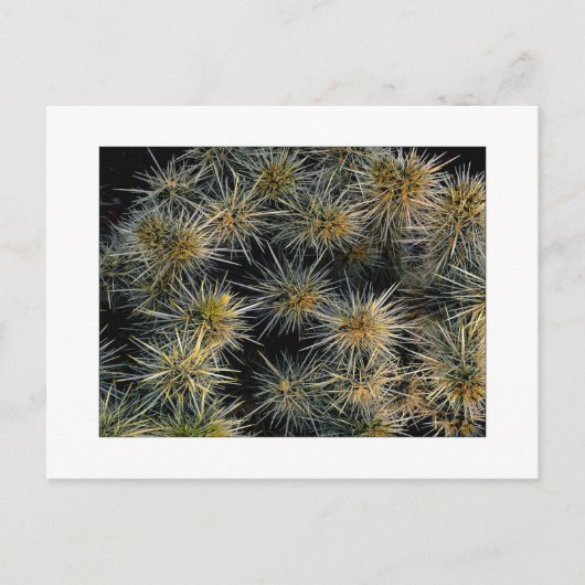 "Ouch Cluster" Postkarte (Vorderseite)