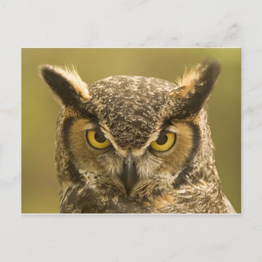 Ouchgesicht Postkarte (Vorderseite)