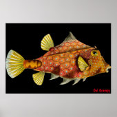 Oul Grumpy Poster (Vorne)