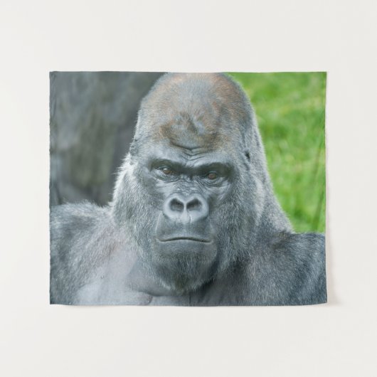 Oumbis Power ein Silverback-Portrait Wandteppich (Vorderseite (Horizontal))