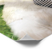 Our Times Poster (Ecke)