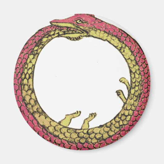 Ouroboros Magnet (Vorne)