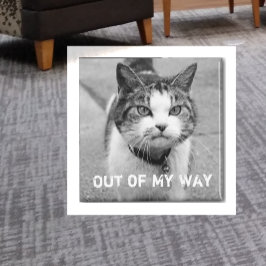 "Out My Way" Crabby Cat Magnet