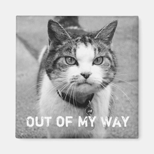 "Out My Way" Crabby Cat Magnet (Vorne)