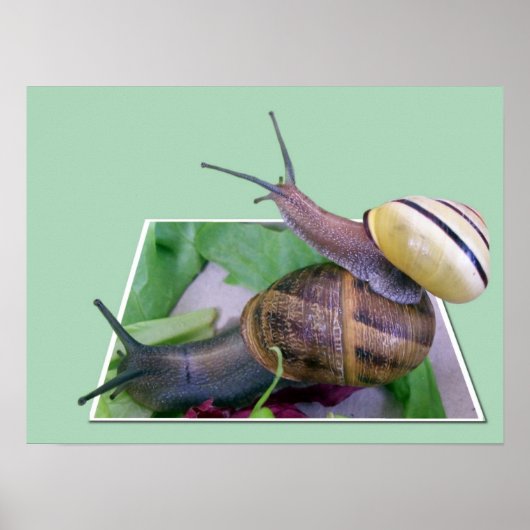 Out-of-Bounds Print Poster (Vorne)