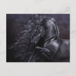 Out of the Night Postcard Postkarte