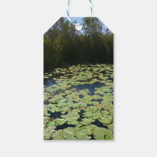 Outback Lily Pads Gift Tags Geschenkanhänger