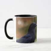 Outdoor Crow Tasse (Links)