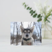 Outdoor-Portrait Postkarte (Stehend Vorderseite)