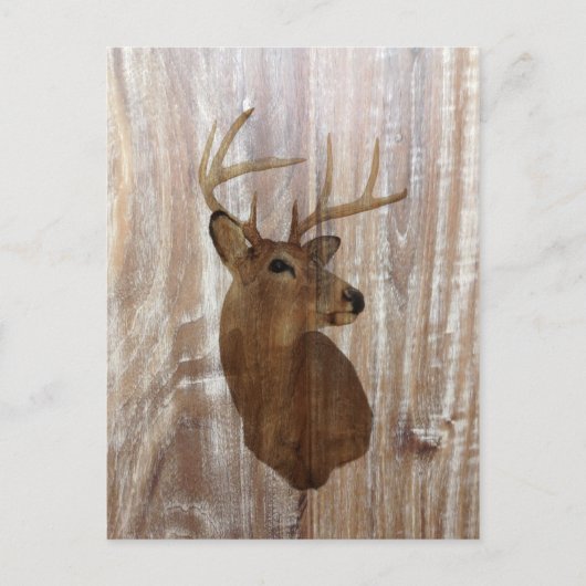 Outdoorsman-Western Primitive Scheunenbaum Postkarte (Vorderseite)