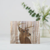 Outdoorsman-Western Primitive Scheunenbaum Postkarte (Stehend Vorderseite)