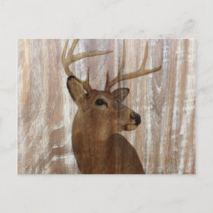 Outdoorsman-Western Primitive Scheunenbaum Postkarte