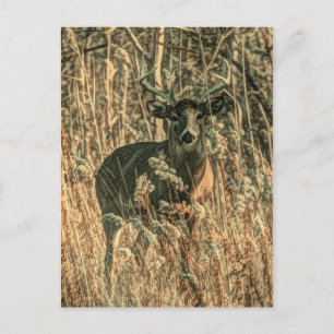 Outdoorsman Wildnis Camouflage Postkarte