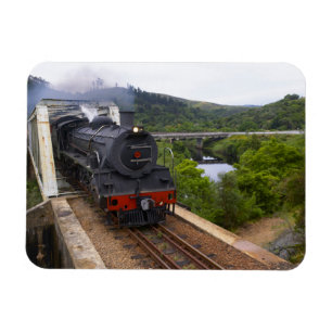 Outeniqua Choo Tjoe, Knysna, Garden Route 2 Magnet