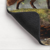Outfoxed Mousepad (Ecke)