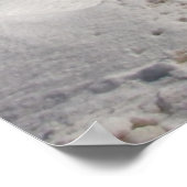 OutHouse WiFi ~ Druck Poster (Ecke)