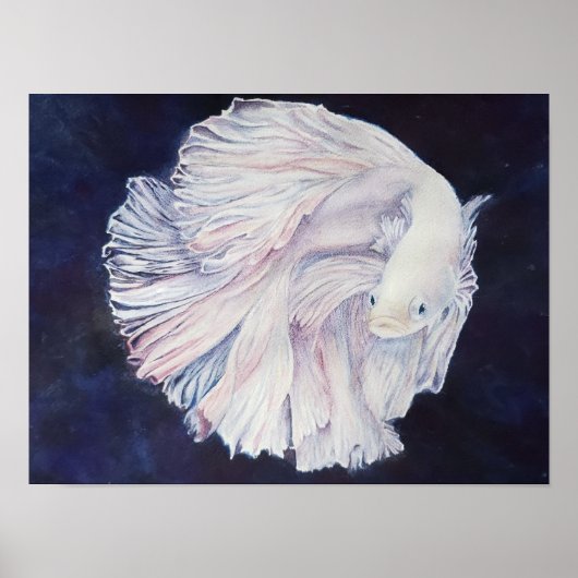 Outstanding White Fighter Fish Poster (Vorne)
