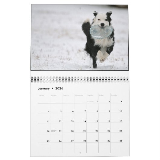 Ouzo 2010 Kalender (Jan 2026)