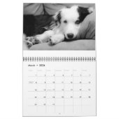 Ouzo 2010 Kalender (Mär 2026)