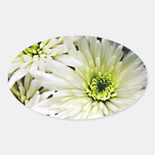 Oval-Aufkleber aus Weißem Chrysanthemum Ovaler Aufkleber