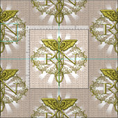 Oval Gold Caduceus RN Nurse Stoff (Kachel)