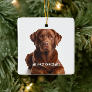 Oval Puppy mein erstes Weihnachts-Foto Ornamente