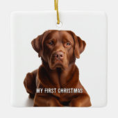 Oval Puppy mein erstes Weihnachts-Foto Ornamente (Vorderseite)