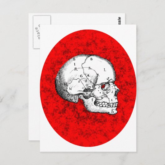 Oval Skull Postkarte (Vorne/Hinten)