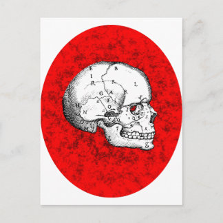Oval Skull Postkarte