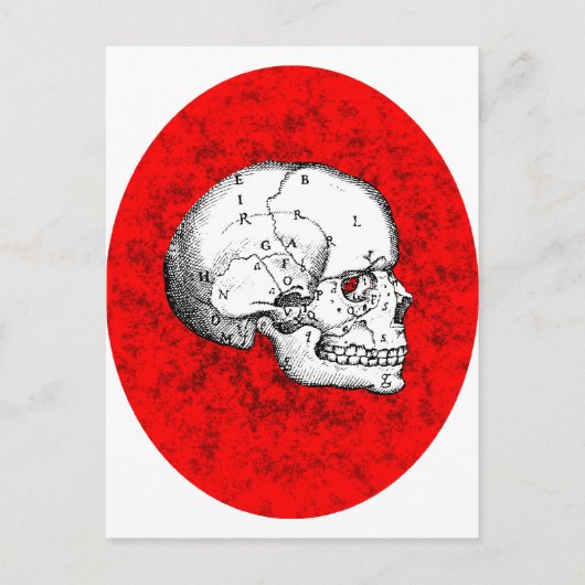 Oval Skull Postkarte (Vorderseite)